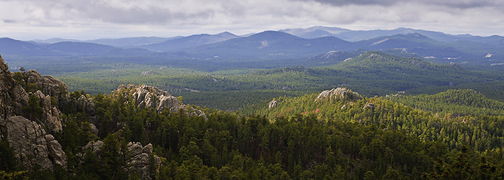 Black Hills Panorama from Needles Highway, SD